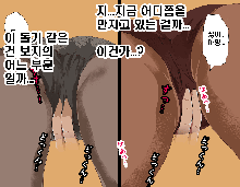 Saimin Seikyouiku 2, 한국어