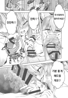 Ryousai Yandere Tamamo-chan, 한국어