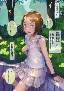 お願いしたら見せてくれる女の子たち vol.2, 日本語