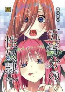 Gotoubun no Seidorei Side-A, English