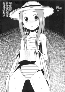 Kyou mo Nishikata-kun wa Takagi-san ni Misukasareteru 4, 中文