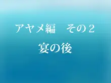 ガンダム ビルドセット, 日本語