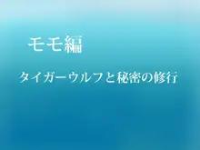 ガンダム ビルドセット, 日本語