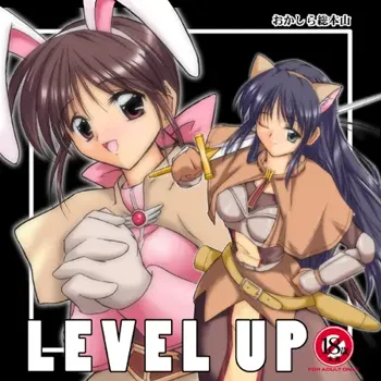 LEVEL UP