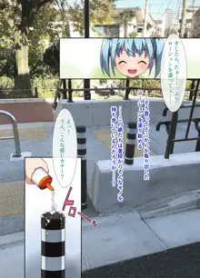 街中の極太ポールを尻穴でごっくん!? ～公衆肛拡『AR』好肛生写真集, 日本語