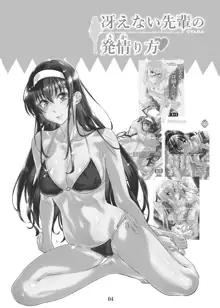 Saenai Heroine Series Vol. 5 Saenai Senpai no Sakarikata, 中文