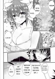 Ichinichi Gentei Niizuma Kiyohime-chan, 한국어