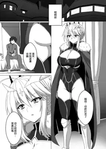 Fate/NTR, 中文