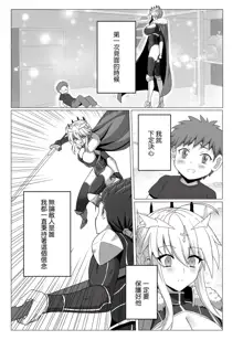 Fate/NTR, 中文