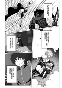 Fate/NTR, 中文