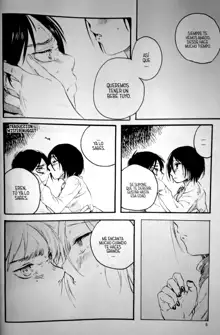 21-sai to 9-sai no Mikasa ni Aisarete Yoru mo Nemurenai Eren no Hanashi, Español