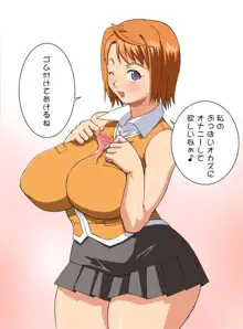 乳乙HIME, 日本語