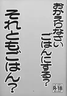 おかえりなさい ごはんにする? それともごはん?, 日本語