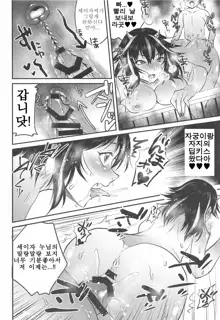 Seija Onee-chan wa Yasashikunai, 한국어