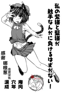 Watashi no Yukari-sama to Ran-sama ga Shokushu Nanka ni Makeru Hazuganai!, 中文