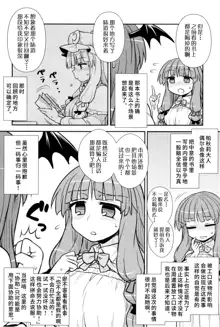 Koakuma no Patchouli Kansatsuki, 中文