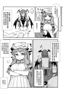 Koakuma no Patchouli Kansatsuki, 中文