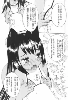 陽炉猫, 日本語