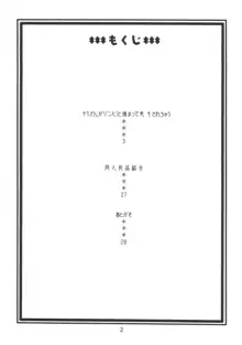 ナミの裏航海日誌3, 日本語