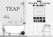 TEAP, 日本語