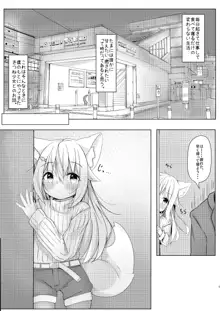 けもみみ少女は癒したい, 日本語