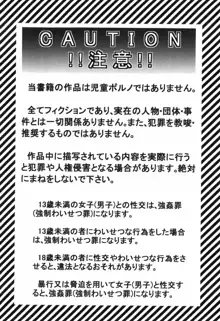 それ何てエロゲ？, 日本語