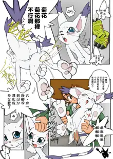 Digimon Queen 01+ (decensored), 中文