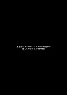 マスターさんをこらしめ穴でおしおきしてあげまーす, 日本語