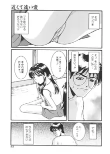 過激な淑女, 日本語