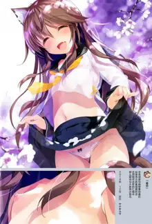 Neko Neko Art Works, 中文