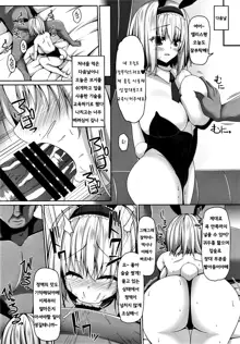 Koukyuu Shoufu Alice Settai Kyouiku l 고급창녀 앨리스 접대교육, 한국어