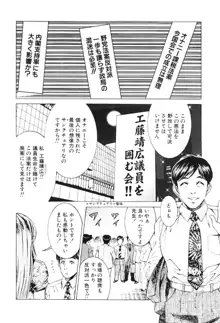 女流エロ漫画家物語, 日本語