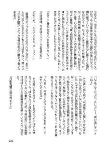 三ヶ森学園敗北記ー奪われた巫女達の堕落ー, 日本語