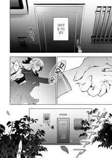 Shoujo Kaishun 8 Jitaku Tsurekomi Hen, 한국어