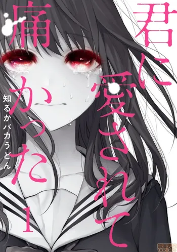 Kimi ni Aisarete Itakatta Vol.1, 中文