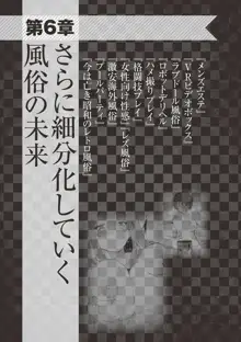 アブノーマル風俗入門 ～ラブドール風俗から、1000万円の風俗嬢まで～, 日本語