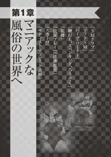 アブノーマル風俗入門 ～ラブドール風俗から、1000万円の風俗嬢まで～, 日本語