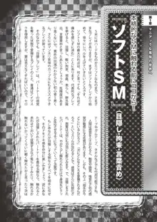 アブノーマル風俗入門 ～ラブドール風俗から、1000万円の風俗嬢まで～, 日本語