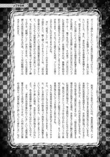 アブノーマル風俗入門 ～ラブドール風俗から、1000万円の風俗嬢まで～, 日本語