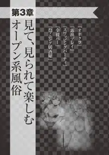 アブノーマル風俗入門 ～ラブドール風俗から、1000万円の風俗嬢まで～, 日本語