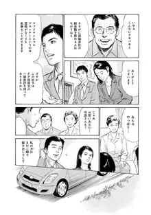 国家資格の女のナイショの夜, 日本語