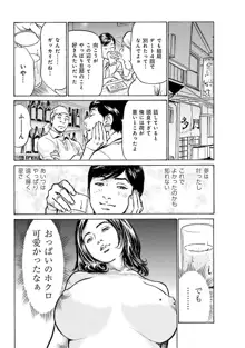 国家資格の女のナイショの夜, 日本語