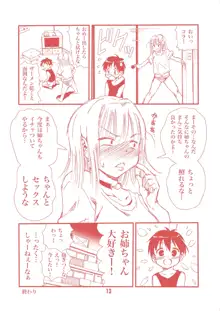 頼むとセックスしてくれるぼくのヤンキーお姉ちゃん。, 日本語