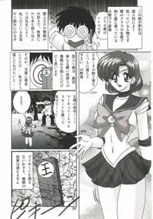 水野亜美日記SS, 日本語