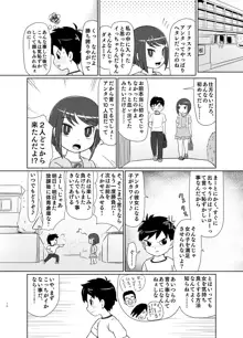 私が負けたらなんでも言う事きいてあげる, 日本語