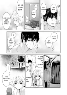 Noraneko Shoujo to no Kurashikata Ch. 1 ~ 21 | 들고양이 소녀와 생활하는법1~21 모음, 한국어