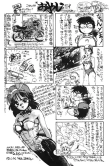 ひろみちゃん奮戦記 1, 日本語