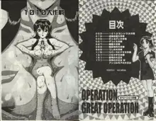 Operation Daisakusen, 中文