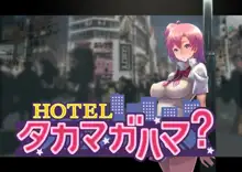 HOTEL Takamagahama?, 中文