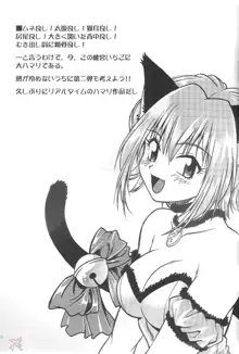 Tokyo Myu Myu (Tokyo Mew Mew) [English] ｛SaHa｝, English